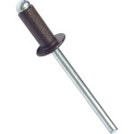 Заклепка вытяжная алюминий-сталь 3,2x10 RAL8019